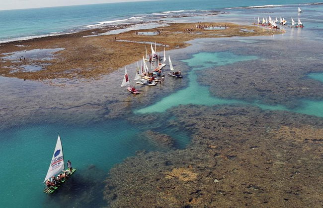 Excursión de un día entero a la playa Porto de Galinhas - Foto 2